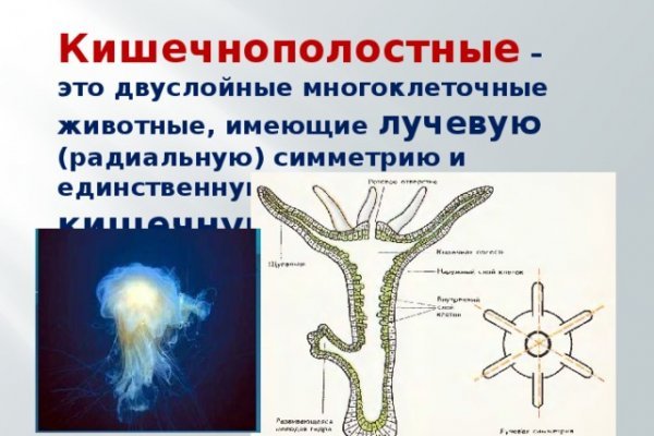 Кракен даркнет слушать